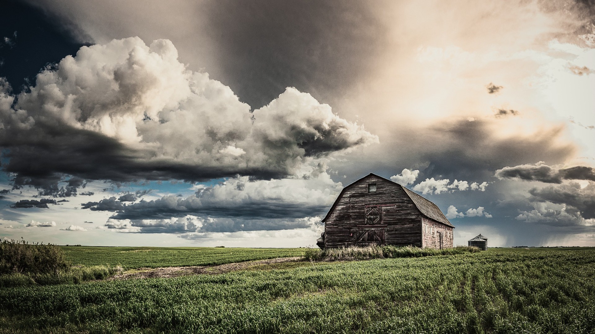Den ulykksalige enke i Michigan NRK Radio