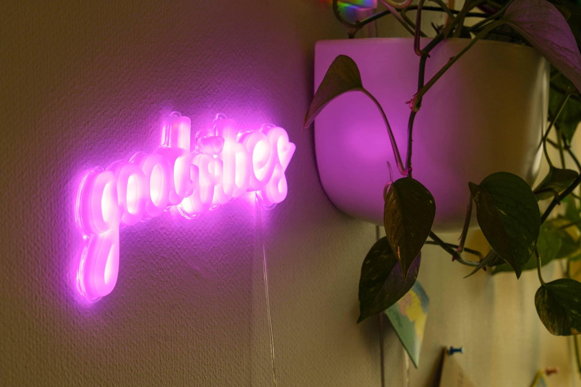 Besøkte Pro Senteret for prostituerte angående økningen av Colombianske prostituerte og mistanken om menneskehandel.