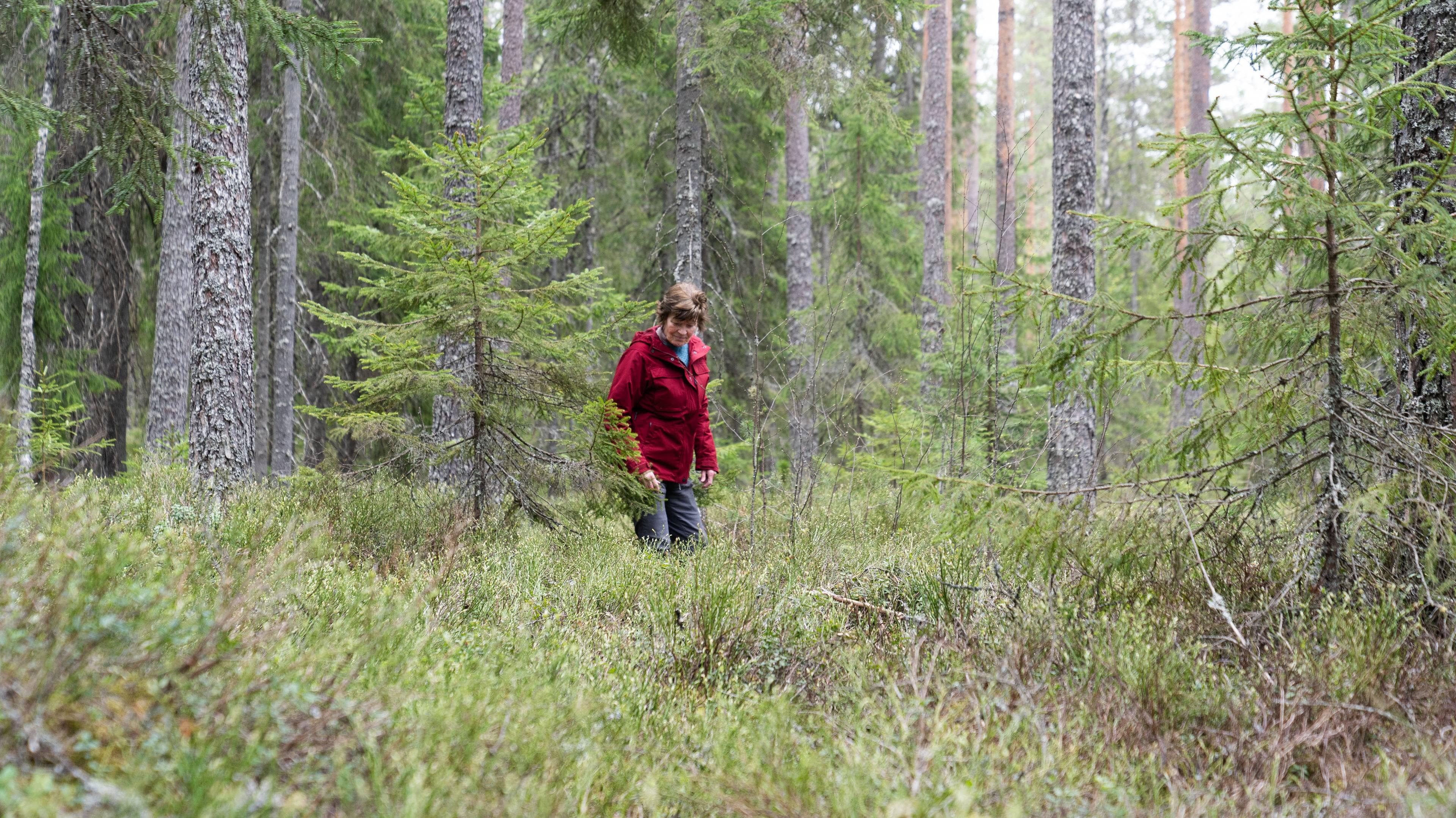 et kvinne i rød jakke står i en skog