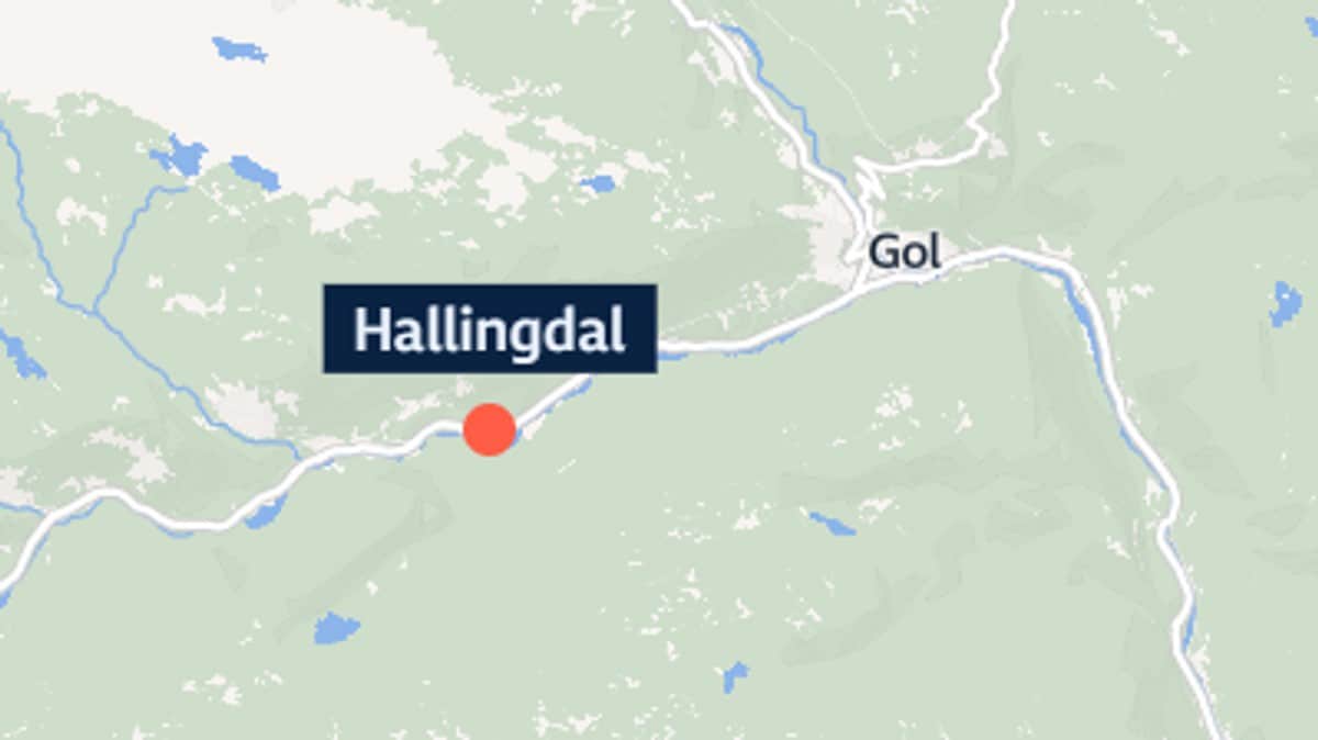 Mann angrepet av okse i Hallingdal