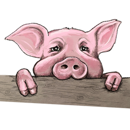 Tegning av en grisunge som kikker over kanten av en treplanke.