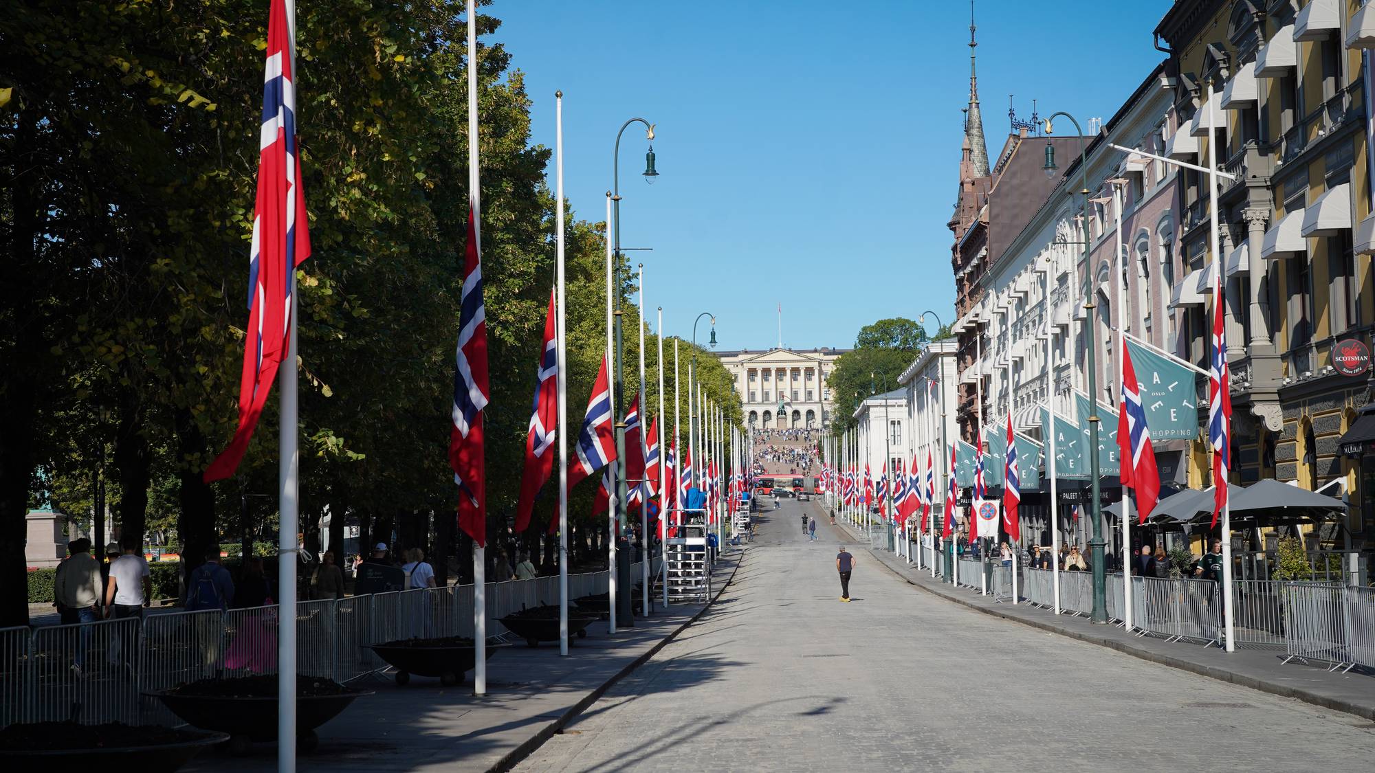 Norske flagg på halv stang langs Karl Johans gate i Oslo med Det kongelige slott i bakgrunnen. (Bildebeskrivelsen er laget av en KI-tjeneste)