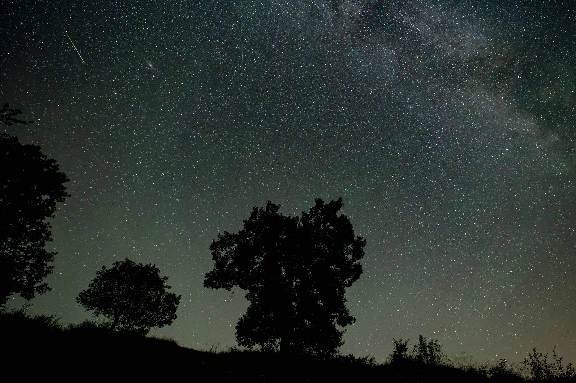 Stjernehimmel med Melkeveien over silhuetter av trær og busker om natten. (Bildebeskrivelsen er laget av en KI-tjeneste)
