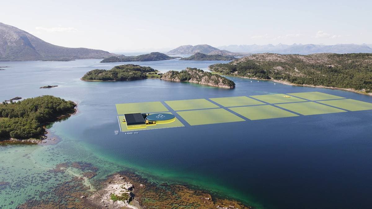 Ny havbrukssatsing kan gi 160 arbeidsplasser i Lofoten og Vesterålen