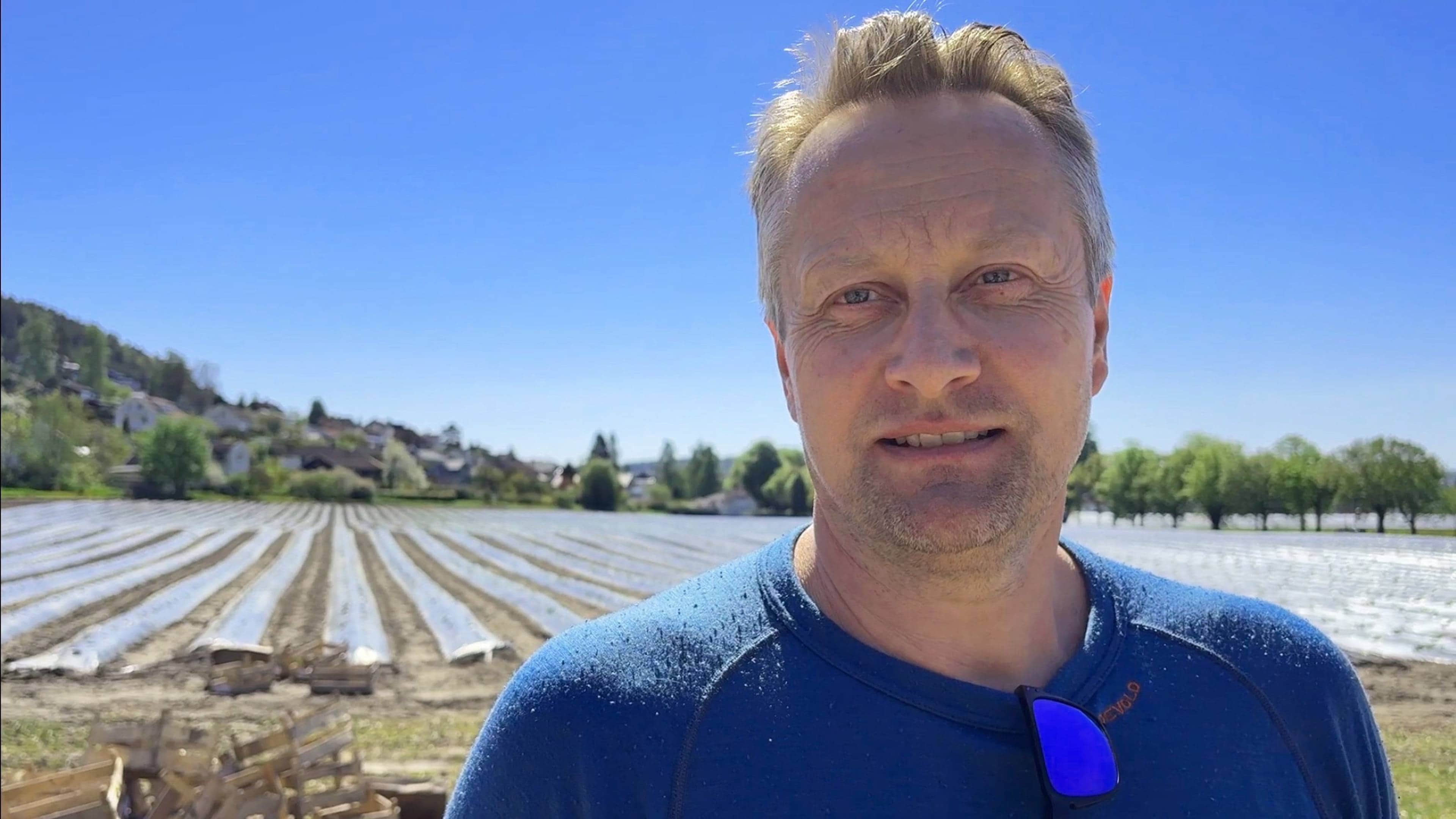 Jordbærbonde Petter Borgestad ute i åkeren med jordbær planta i rader med plast over.
