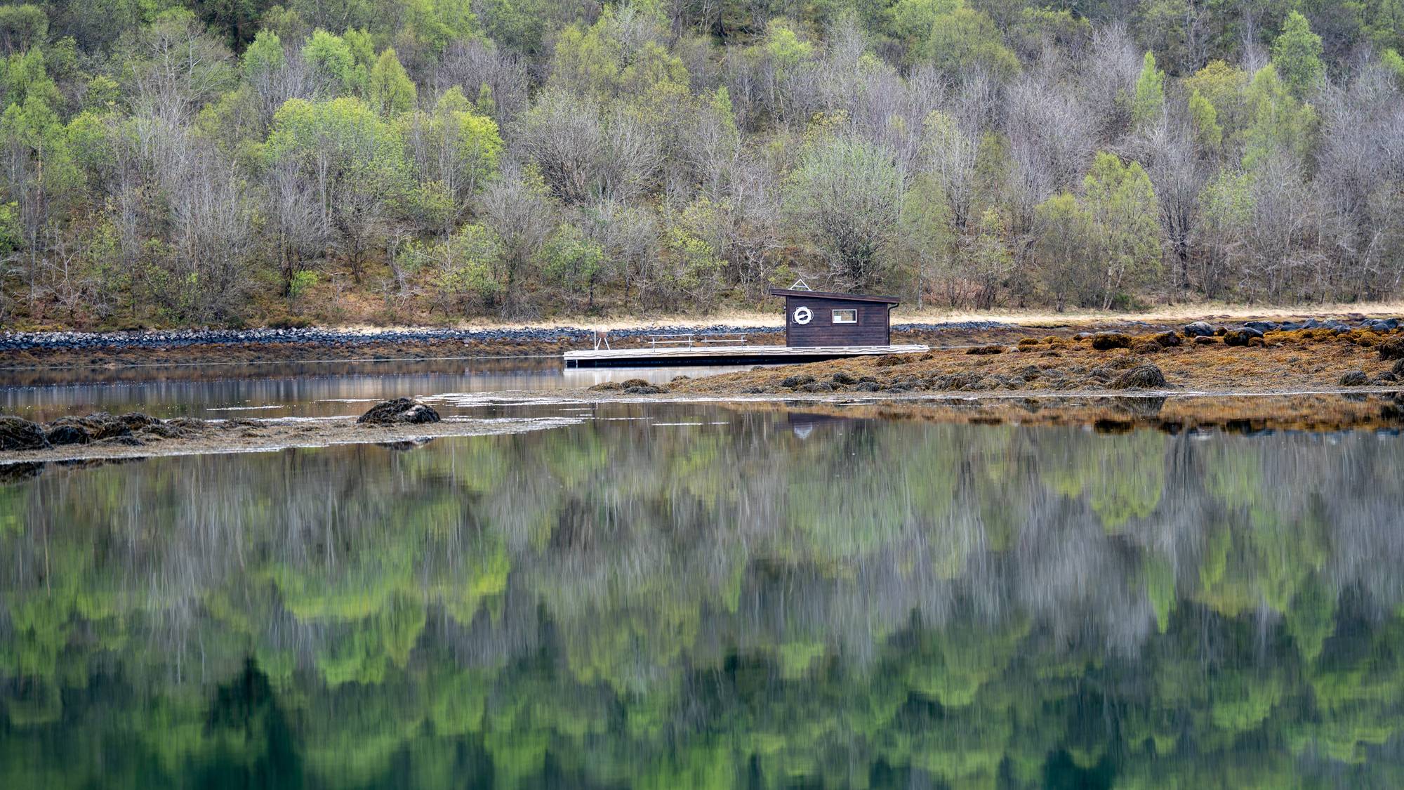 Et tog på et jernbanespor i vannet (Bildebeskrivelsen er laget av en KI-tjeneste)