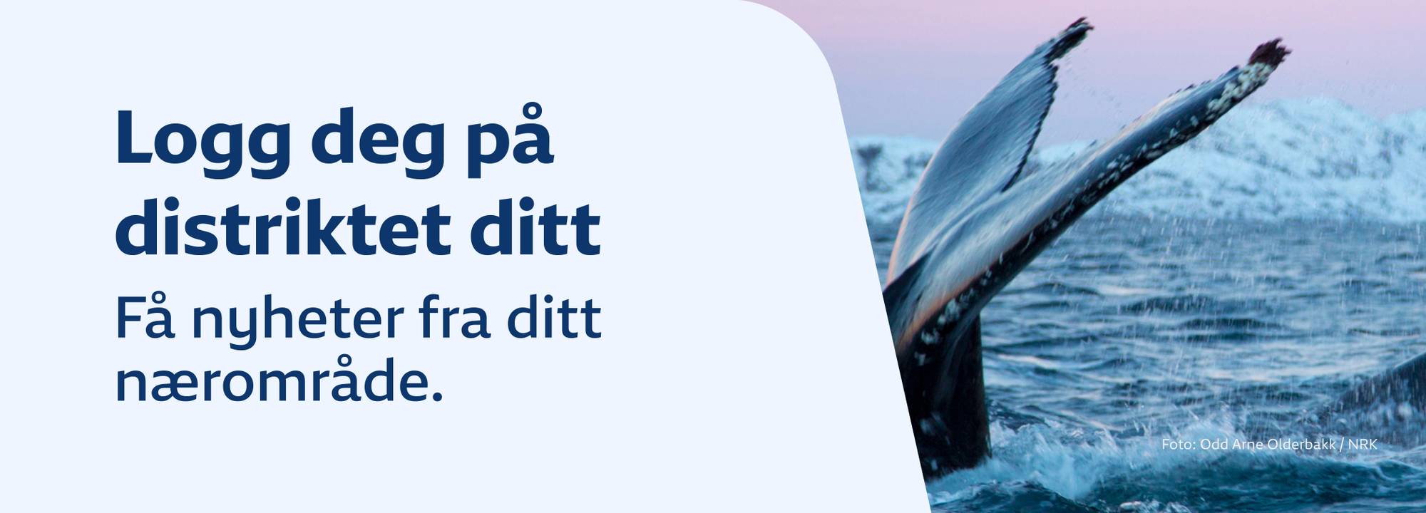 Etterforsker dødsfall i arresten i Ålesund — image 4