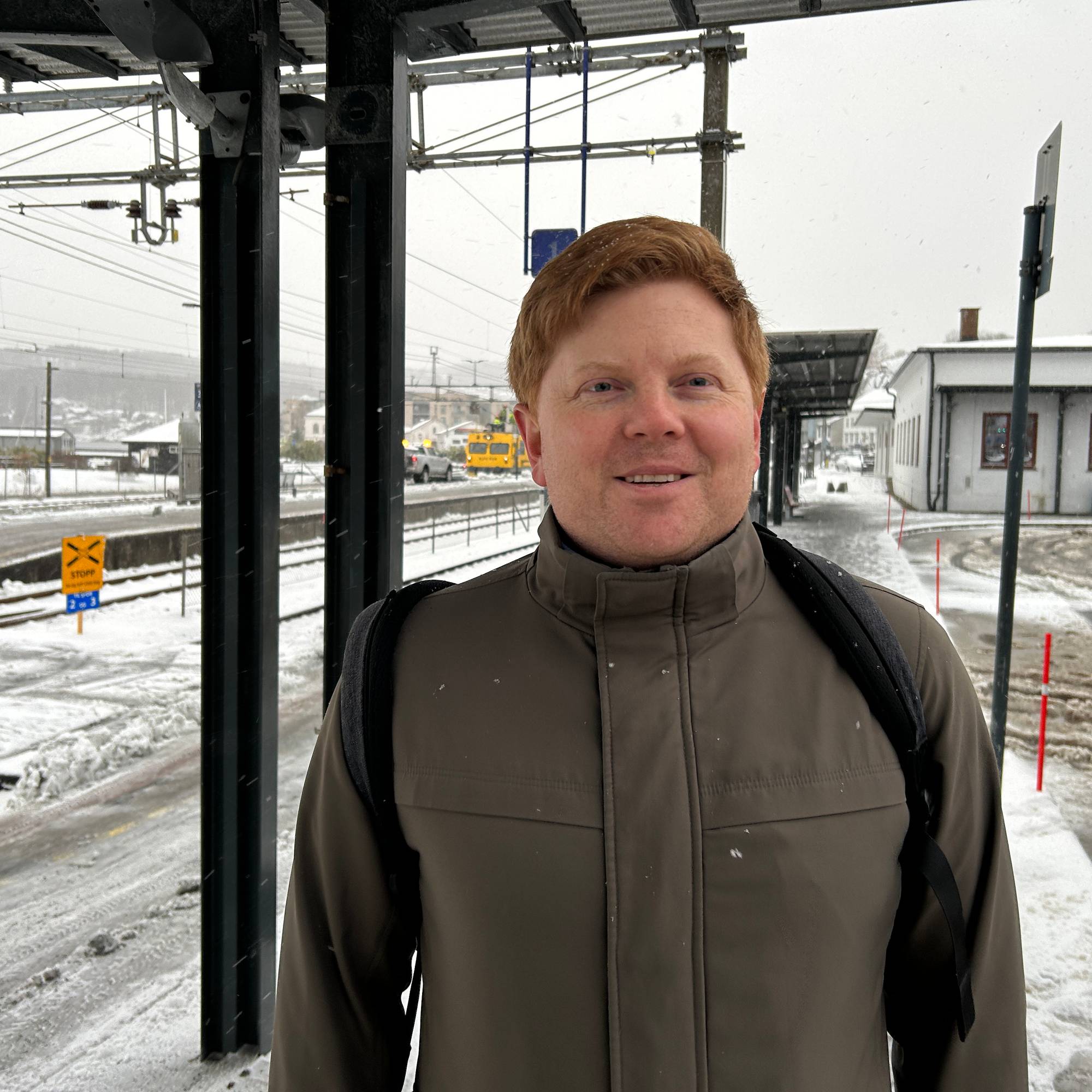 Kråke stanset toget på Vestfoldbanen – NRK Vestfold og Telemark ...