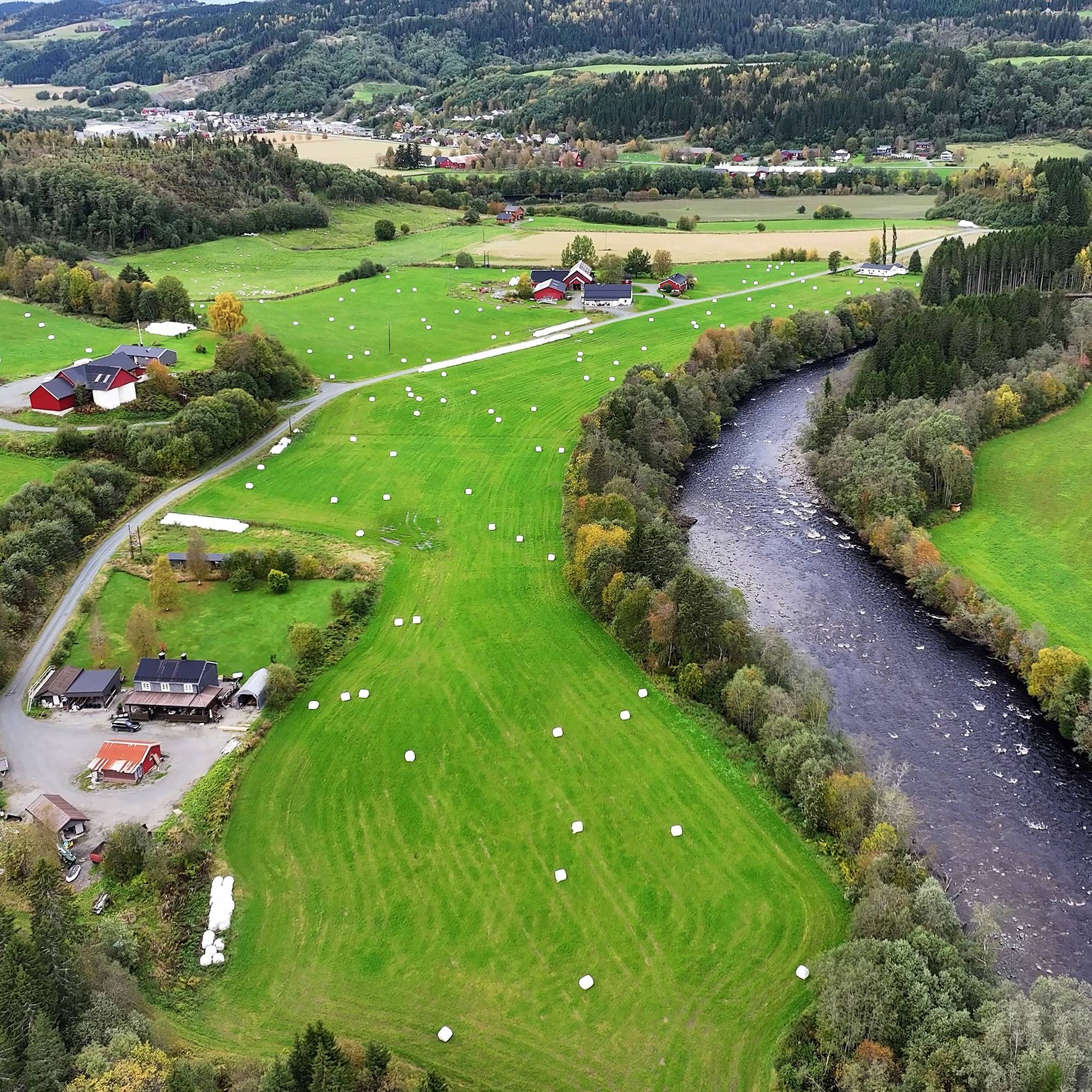 Verdalsvassdarget