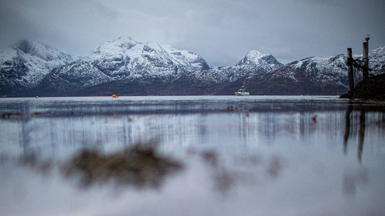 Kvaløya med snøkledde fjelltopper, sjø i forgrunnen