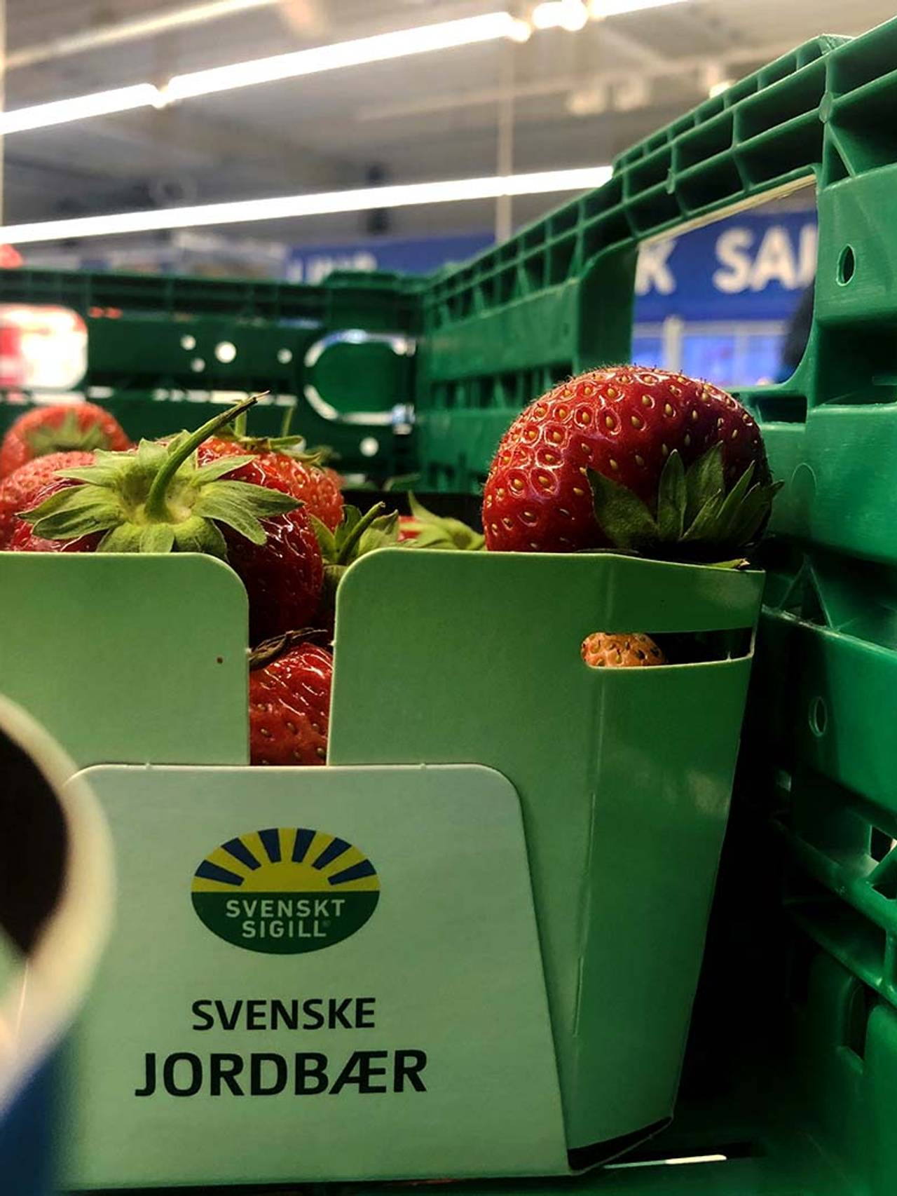 Svensk jordbær 