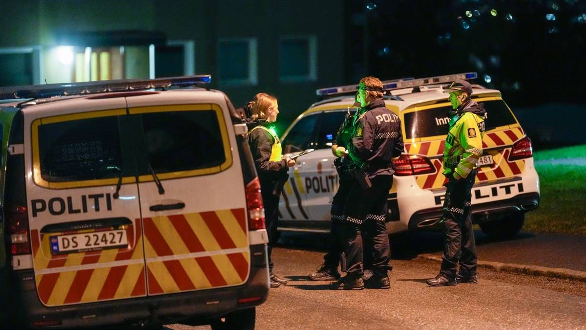 Lifeless Body Found in Oslo's Skogholt - News Directory 3