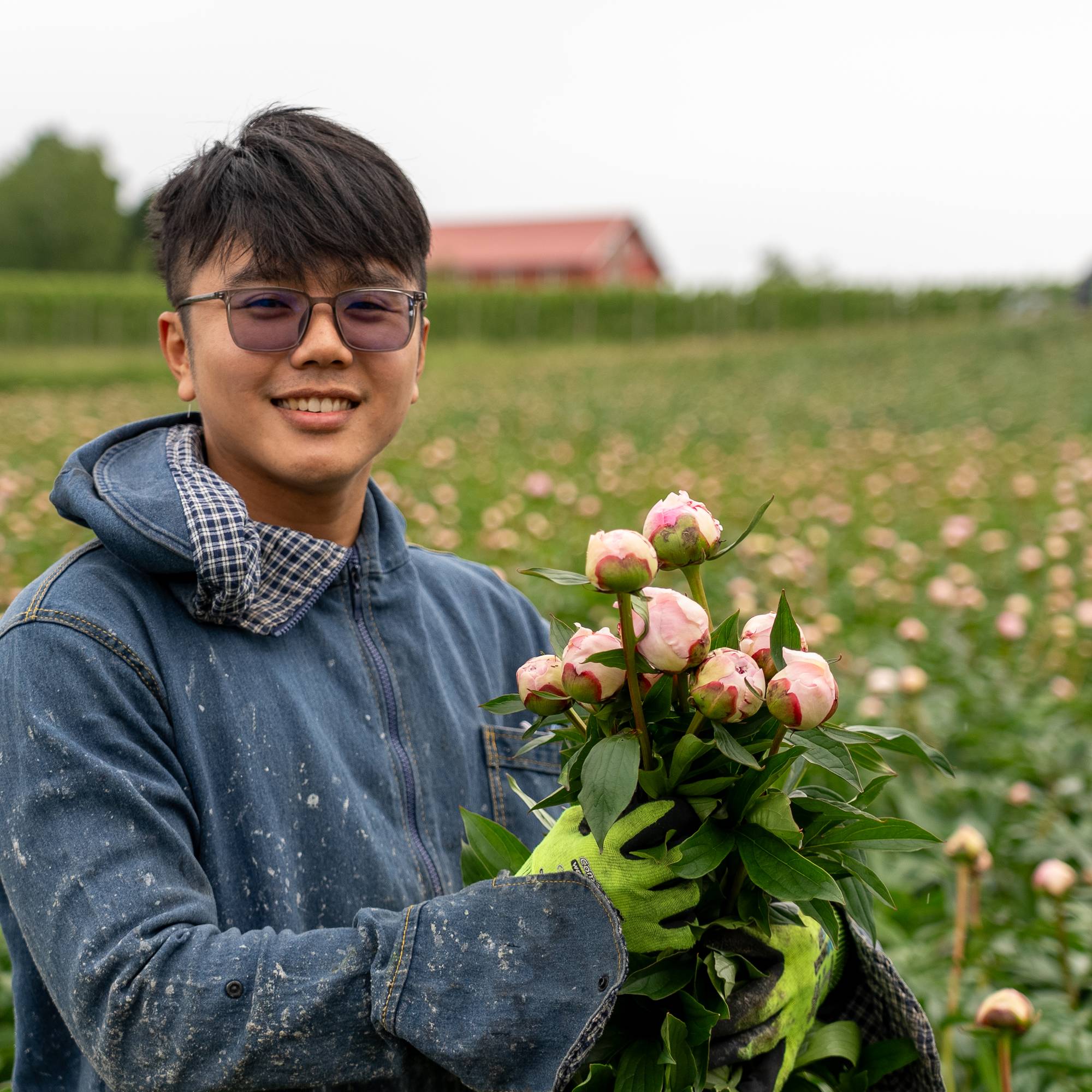 Huynh Quang Thuan er en av de vietnamesiske sesongarbeiderne som jobber i Østre Toten med å plukke peoner.