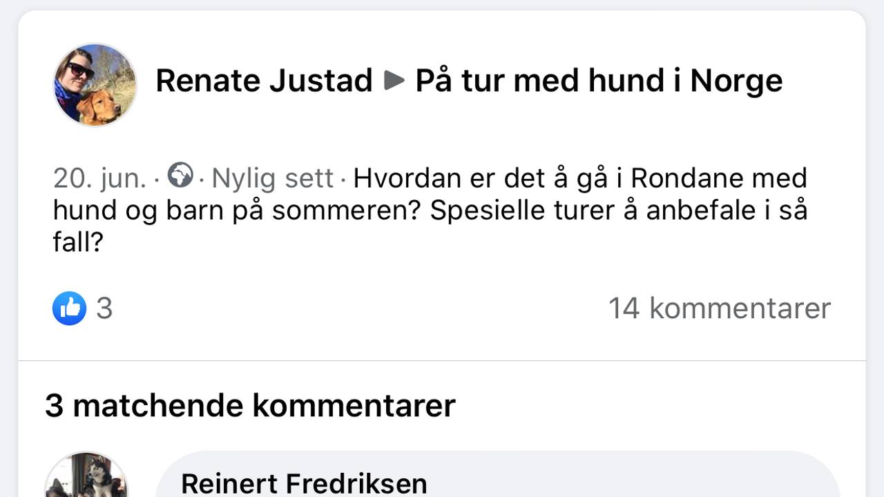 Skjermdump