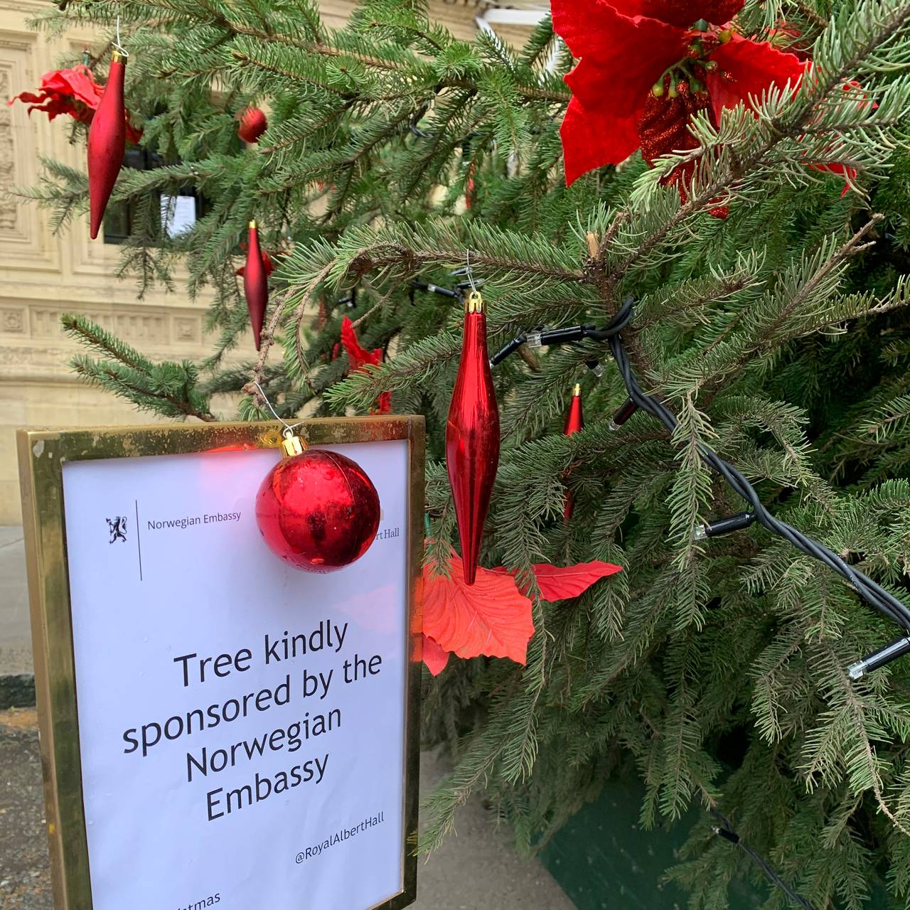Juletreet utenfor Royal Albert Hall i London er en norsk gave