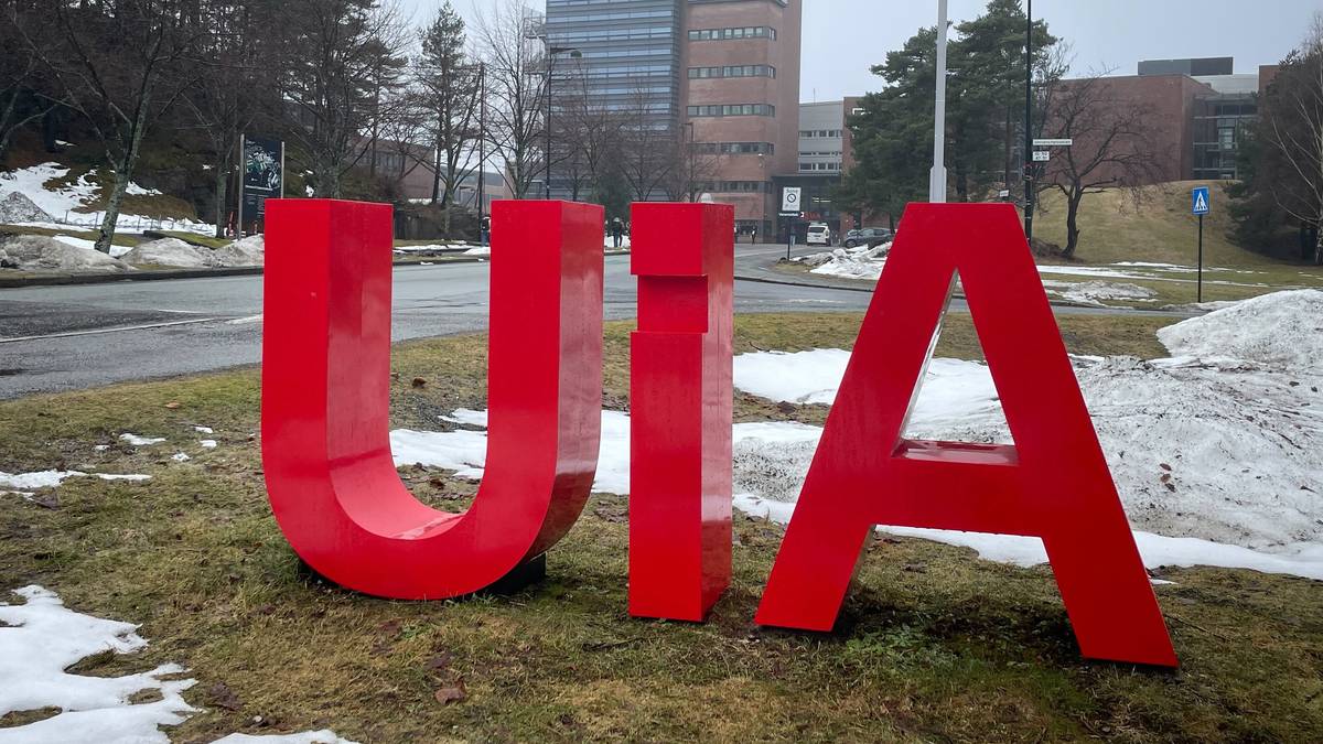 UiA scorer høyest på KI-opplæring og campus