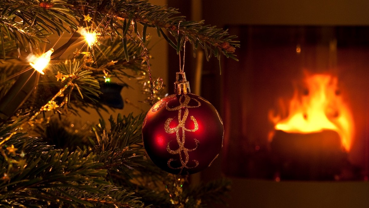 Ikke brenn juletreet i peisovnen nrk sørlandet lokale nyheter ...