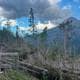 Rjukan og Tinn Røde kors Hjelpekorps Trær har brekt og fallt etter stormen Amy i oktober i terrenget rundt Solspeilet
