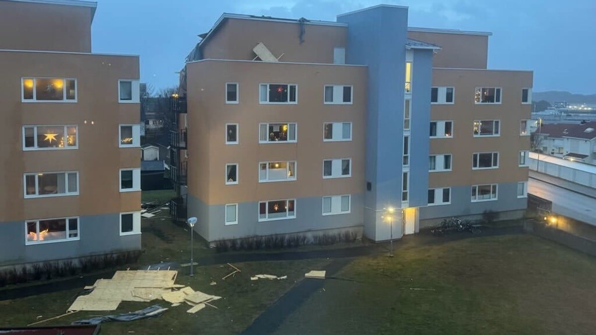 Vakna av brak – tregrein trefte bilen