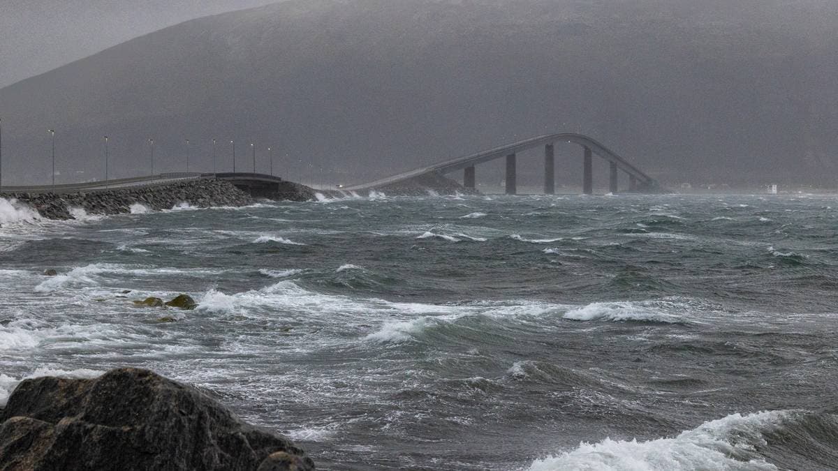 Kraftig vind i Ålesund – kommunen har sett krisestab