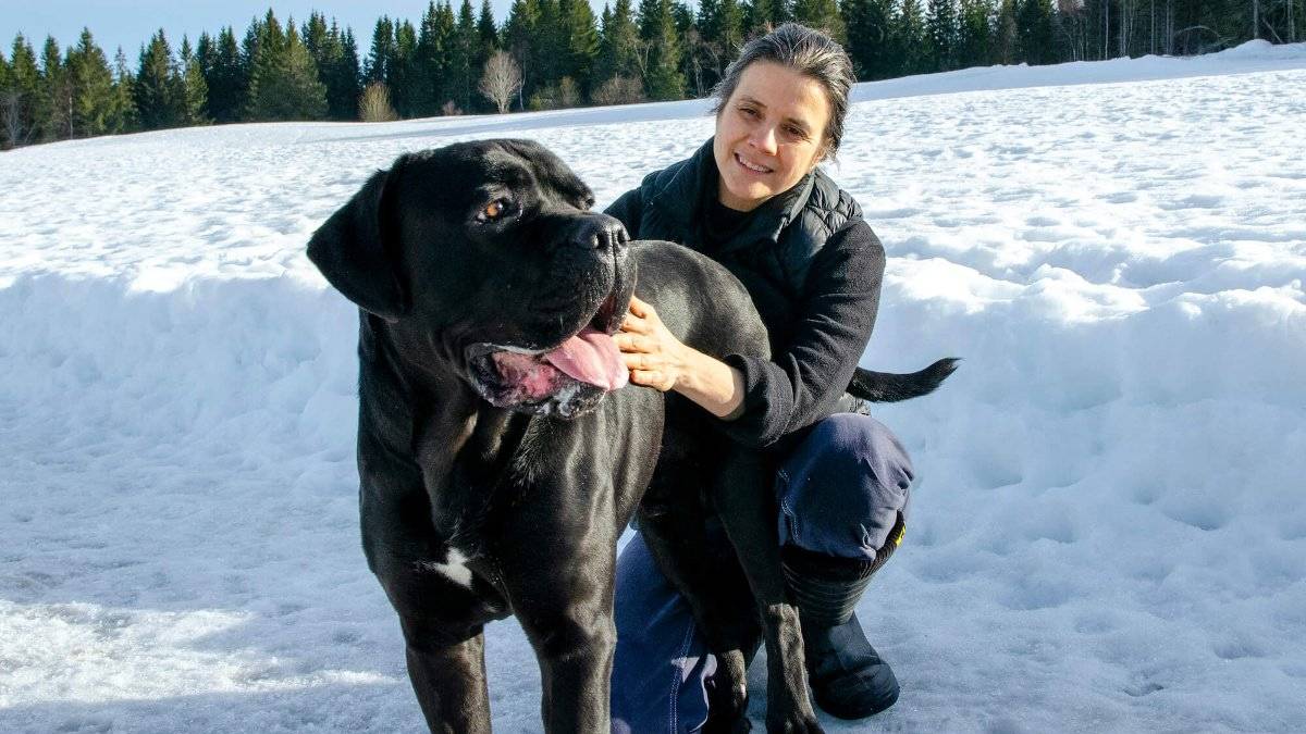 Nei frå Høgsterett: Hunden Sam (4) må døy