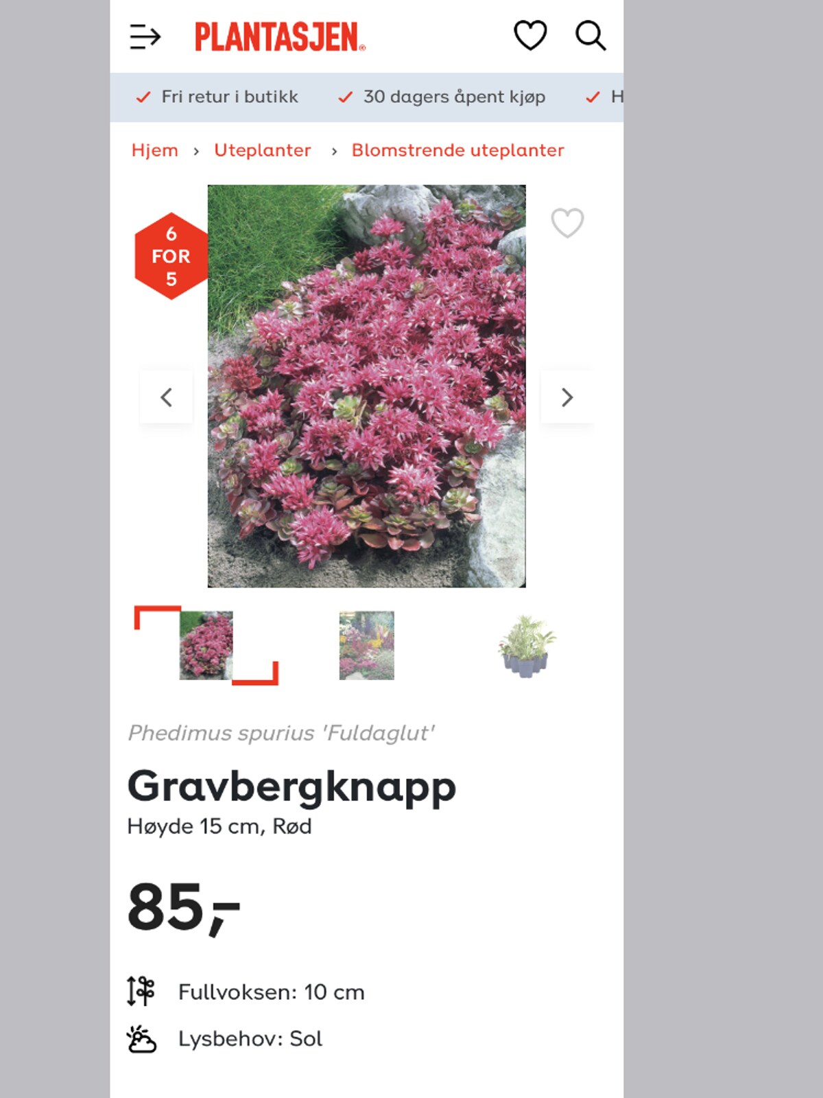 Planteskoler i norge Planteskoler i norge