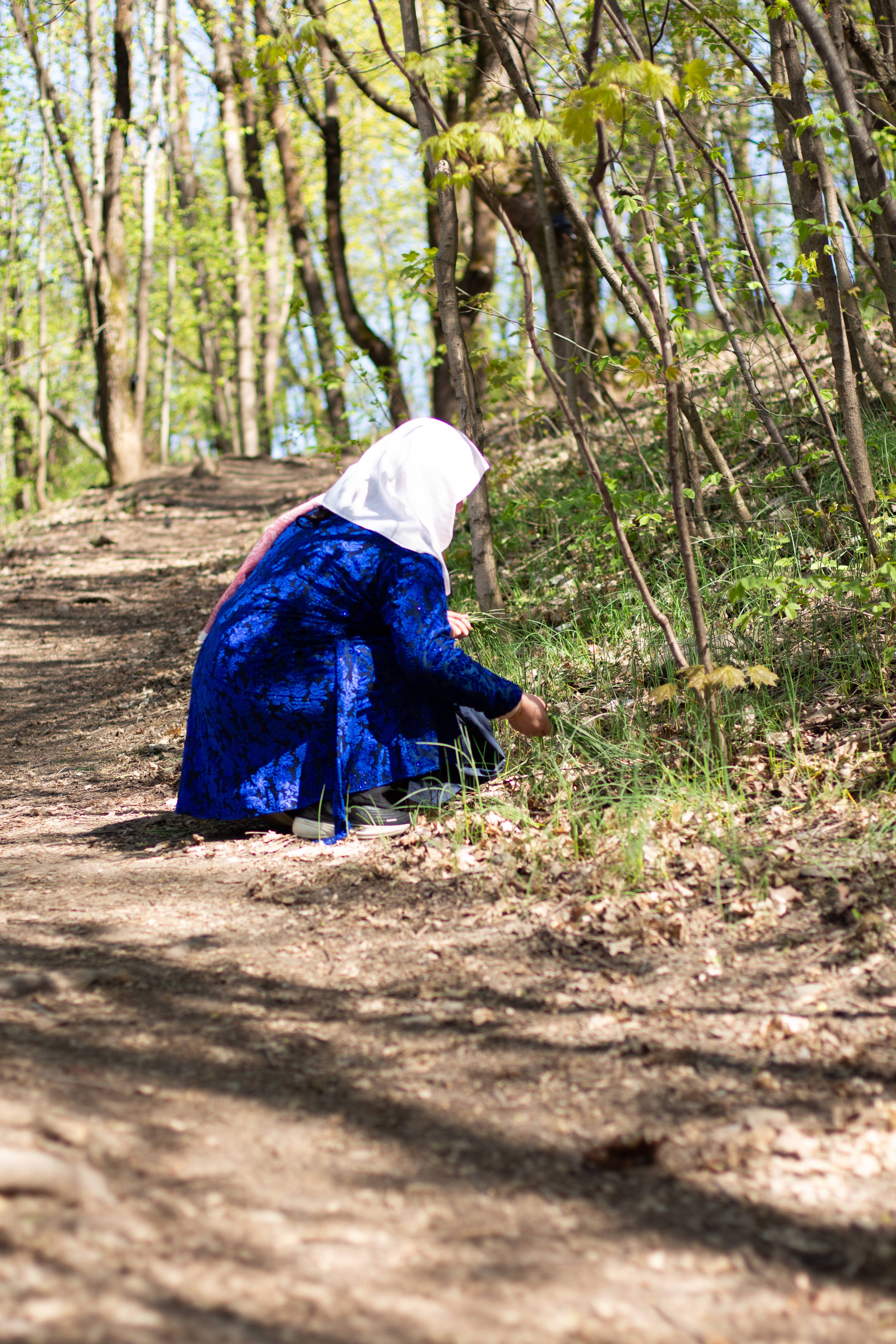 en kvinne leter etter planter i en skog