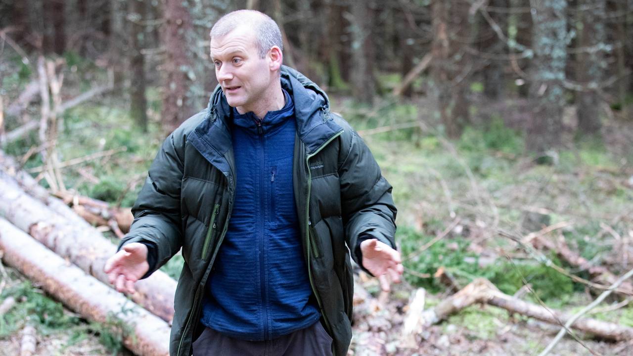 rasmus astrup, forskningssjef nibio. skog. gran.