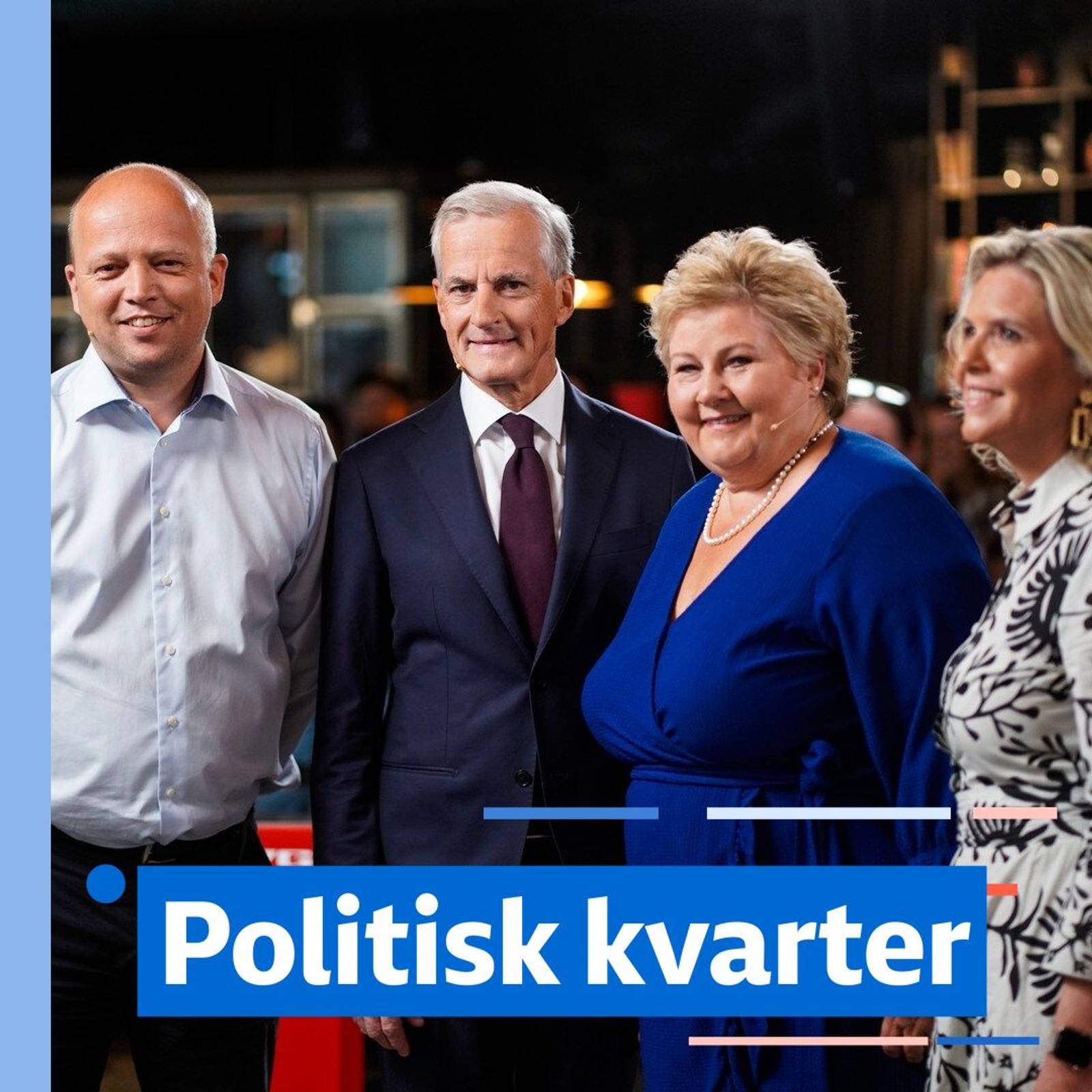 Det politiske året 2025