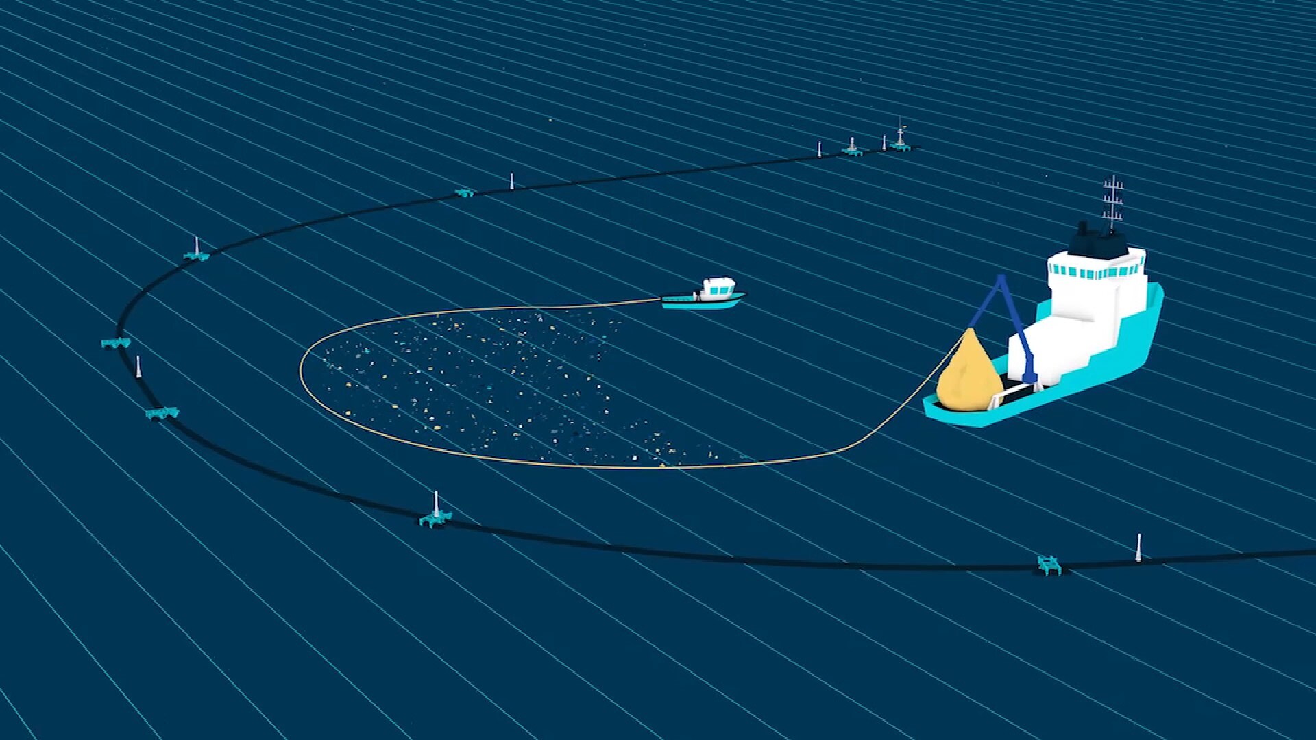 Ocean cleanup