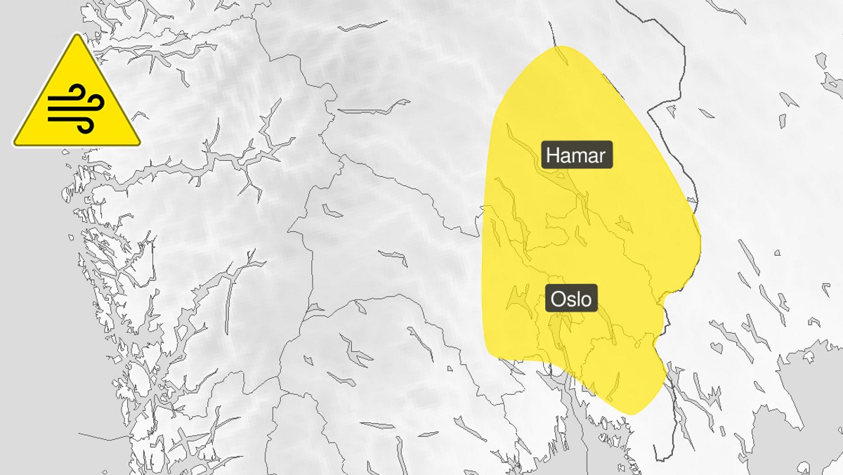 Venter kraftige vindkast p&aring; &Oslash;stlandet l&oslash;rdag