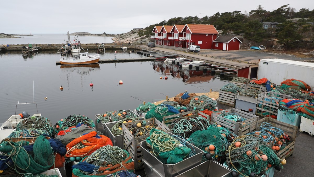 Utgårdskilen fiskehavn i grått vintervær. Bildet viser garn og teiner i forgrunn og en reketrål og båtbuer i bakgrunn FOTO: Heidi Gomnæs