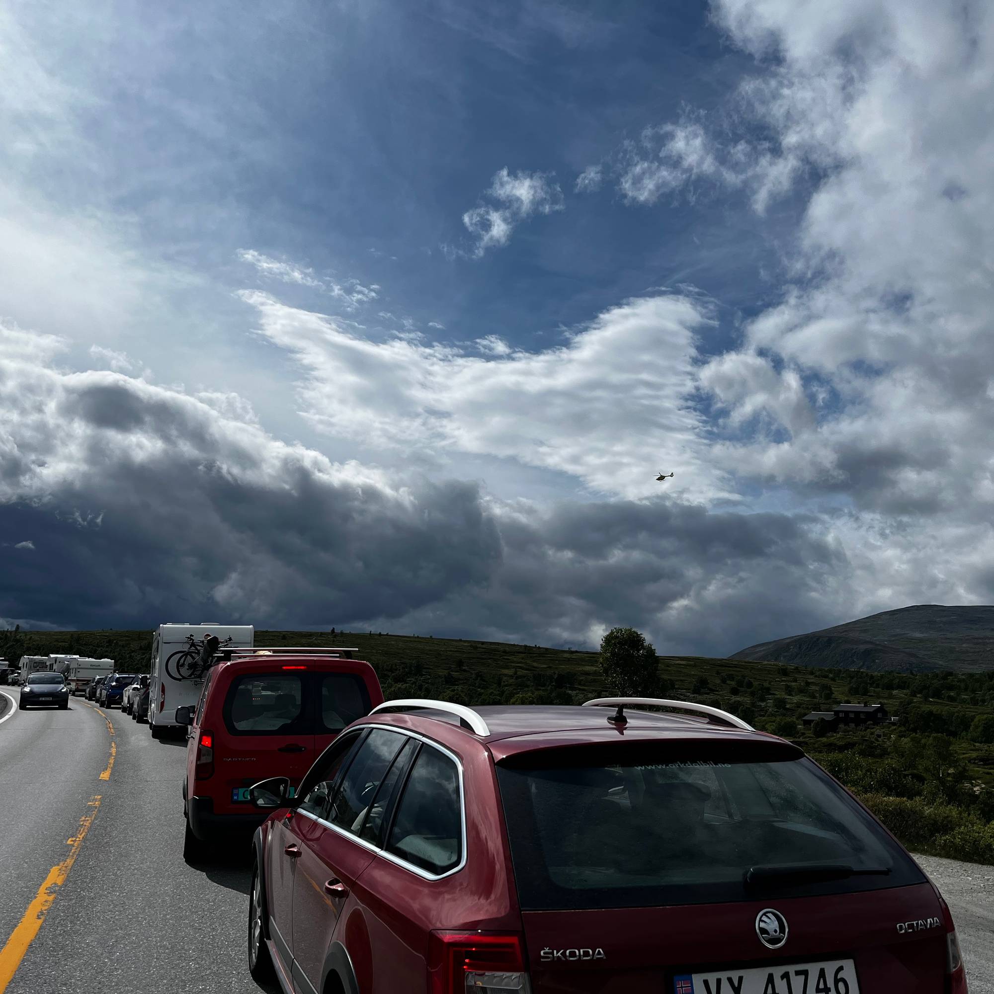 Kø Dovrefjell