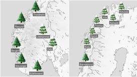SNØFATTIG KYST: Ifølge Meteorologisk institutt blir det truleg ikkje snø på julaftan langs kysten heilt frå Brønnøysund, via Vestlandet og forbi Sørlandet.