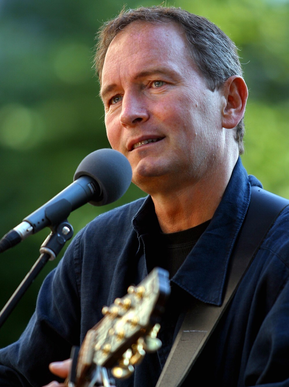 Tomas Ledin En Midsommaraftons Dröm