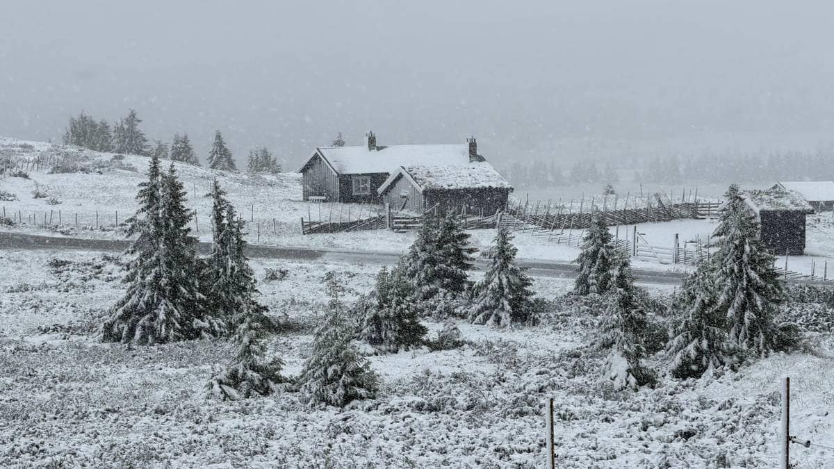 Det snør, det snør – i juli
