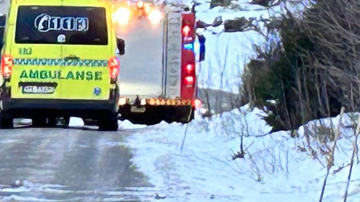 Mann omkom i trefellingsulykke i Kvinesdal