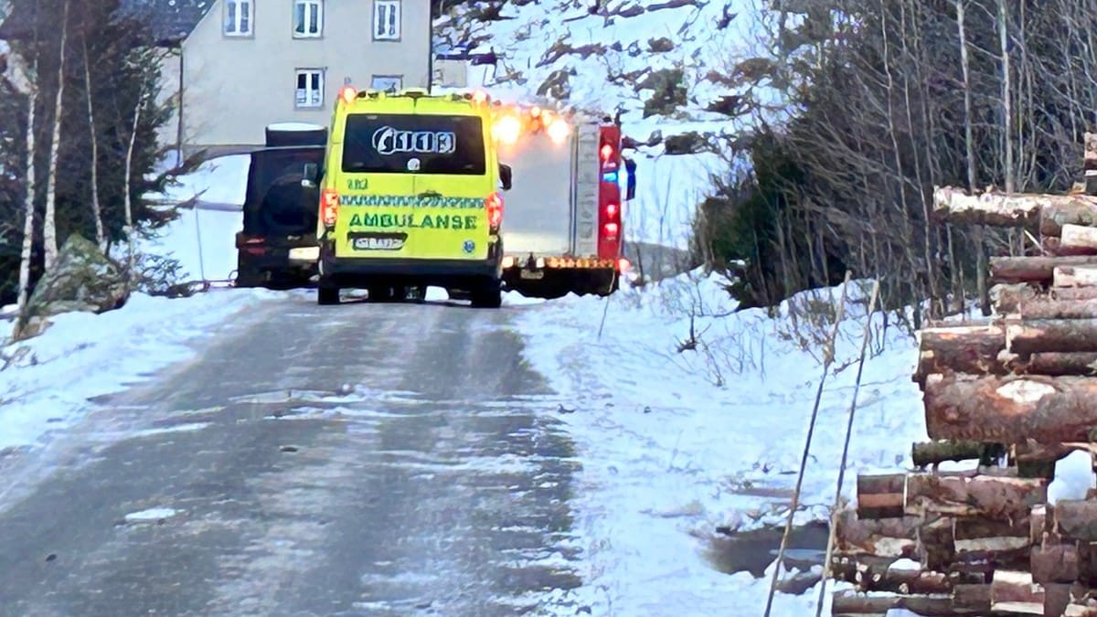 Mann omkom i trefellingsulykke i Kvinesdal