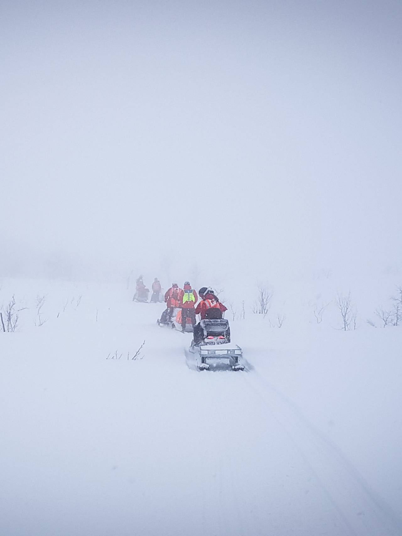 Leiteaksjon i Narvik