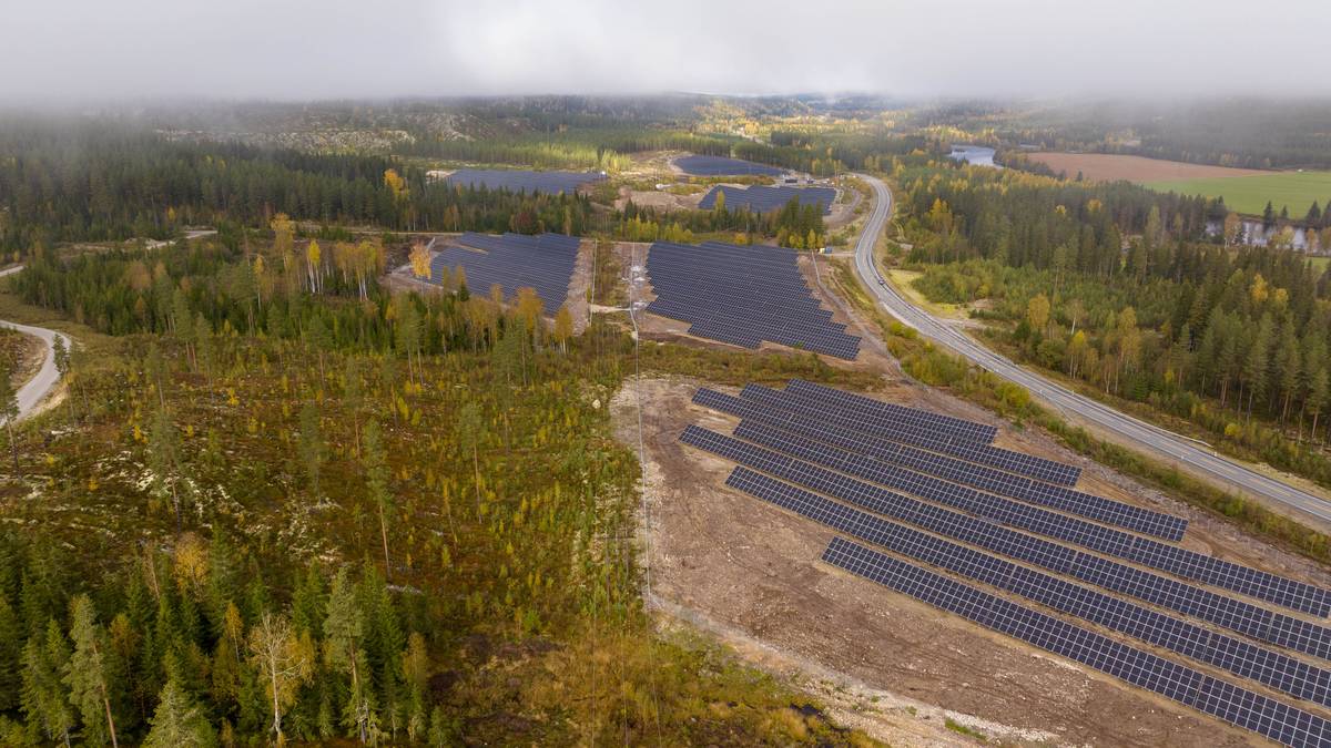 Mange søknader om solkraftverk – store mengder skog kan bli hogd