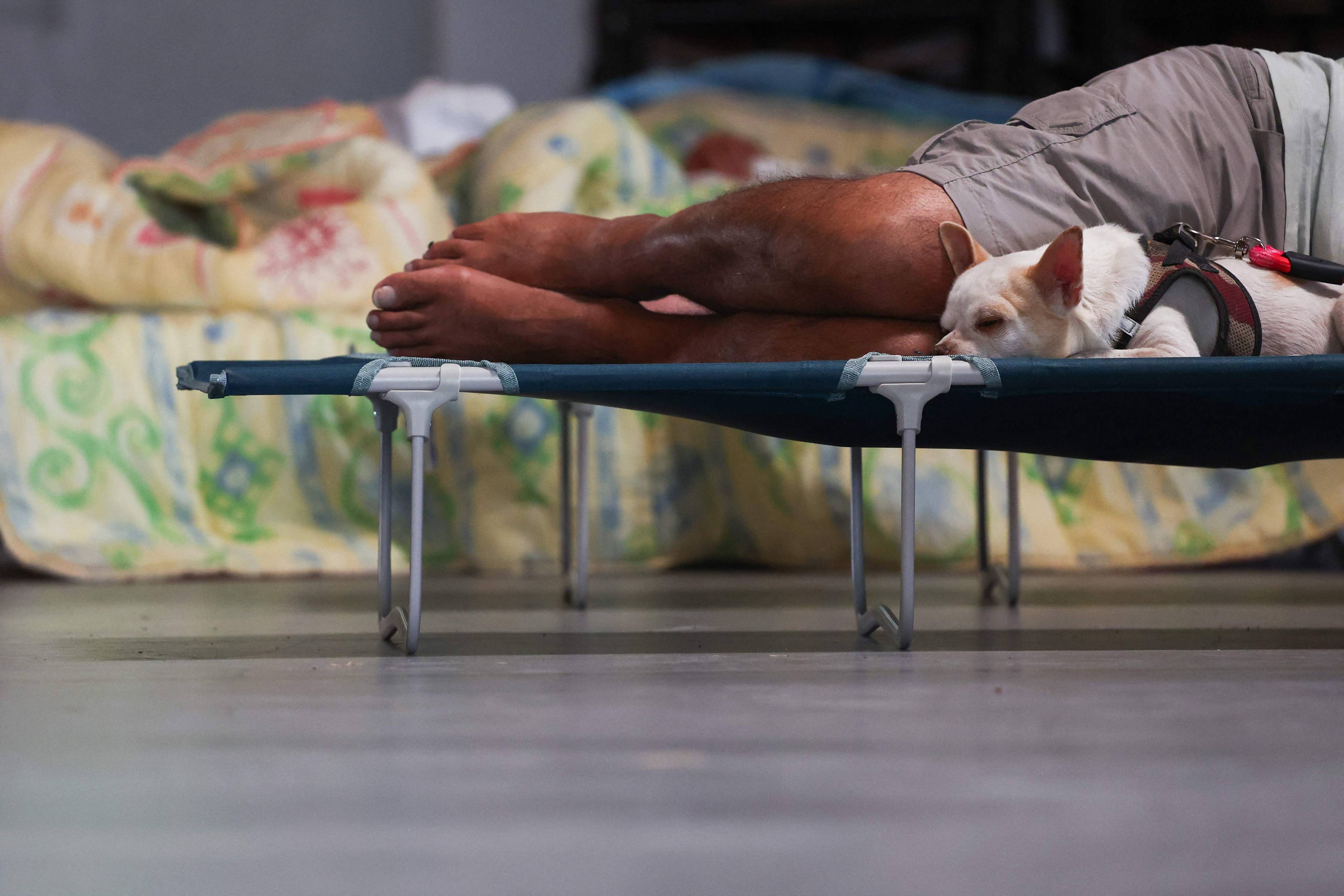 En person og en hund hviler på en feltseng i et rom med soveplasser i bakgrunnen. (Bildebeskrivelsen er laget av en KI-tjeneste)