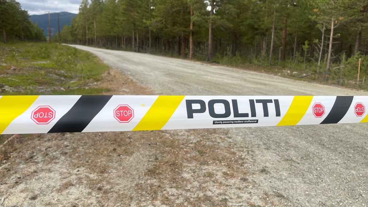 Kontroll på farlig rømling i Lesja