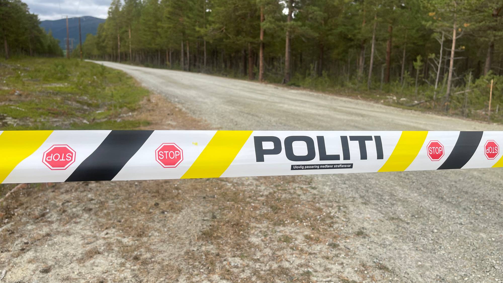 Sperring Lesja