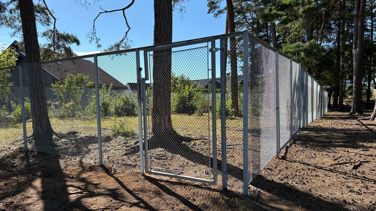 Forsker reagerer på innhegningene: – Misforstått inkludering