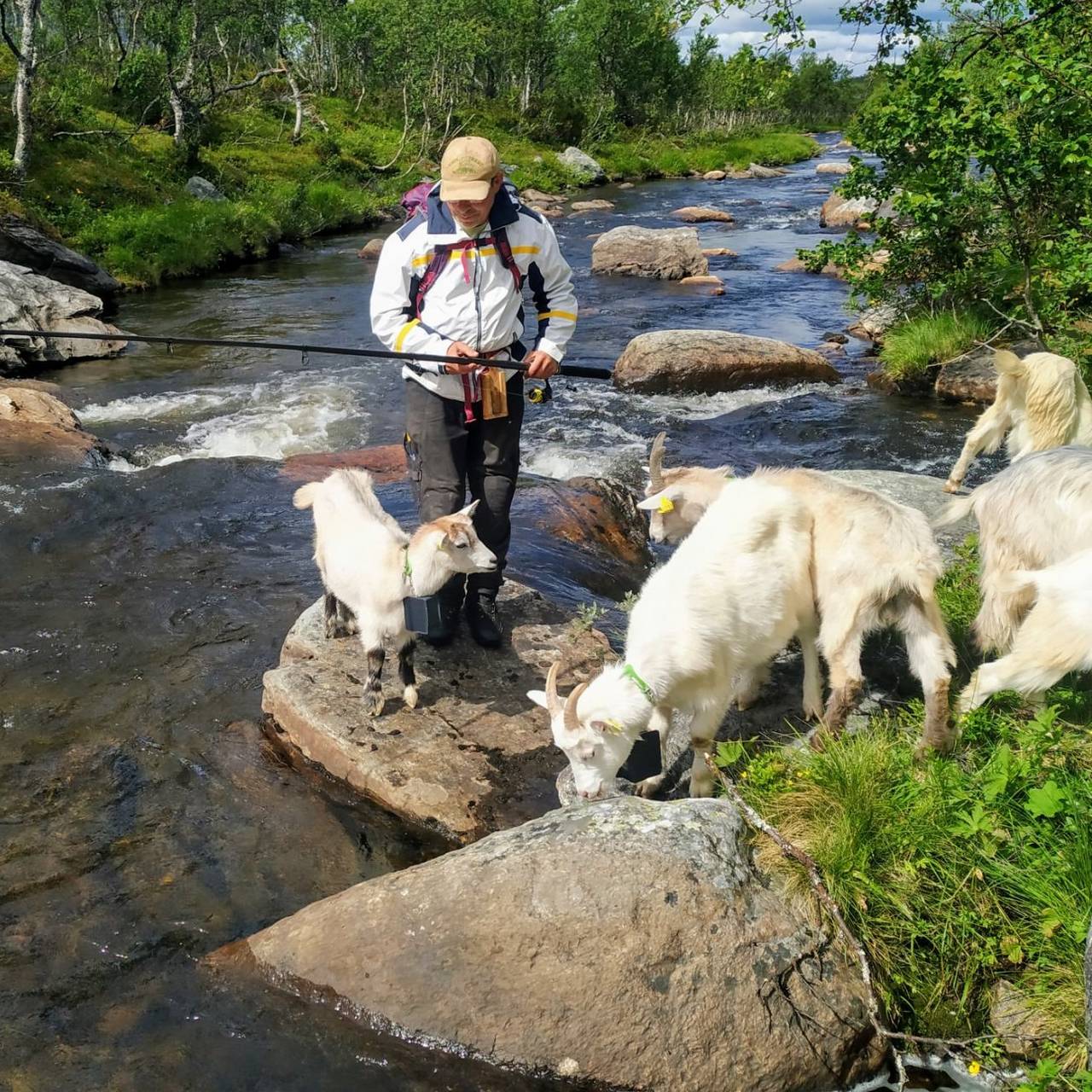 Jon Rune Bakken med geiter på fisketur