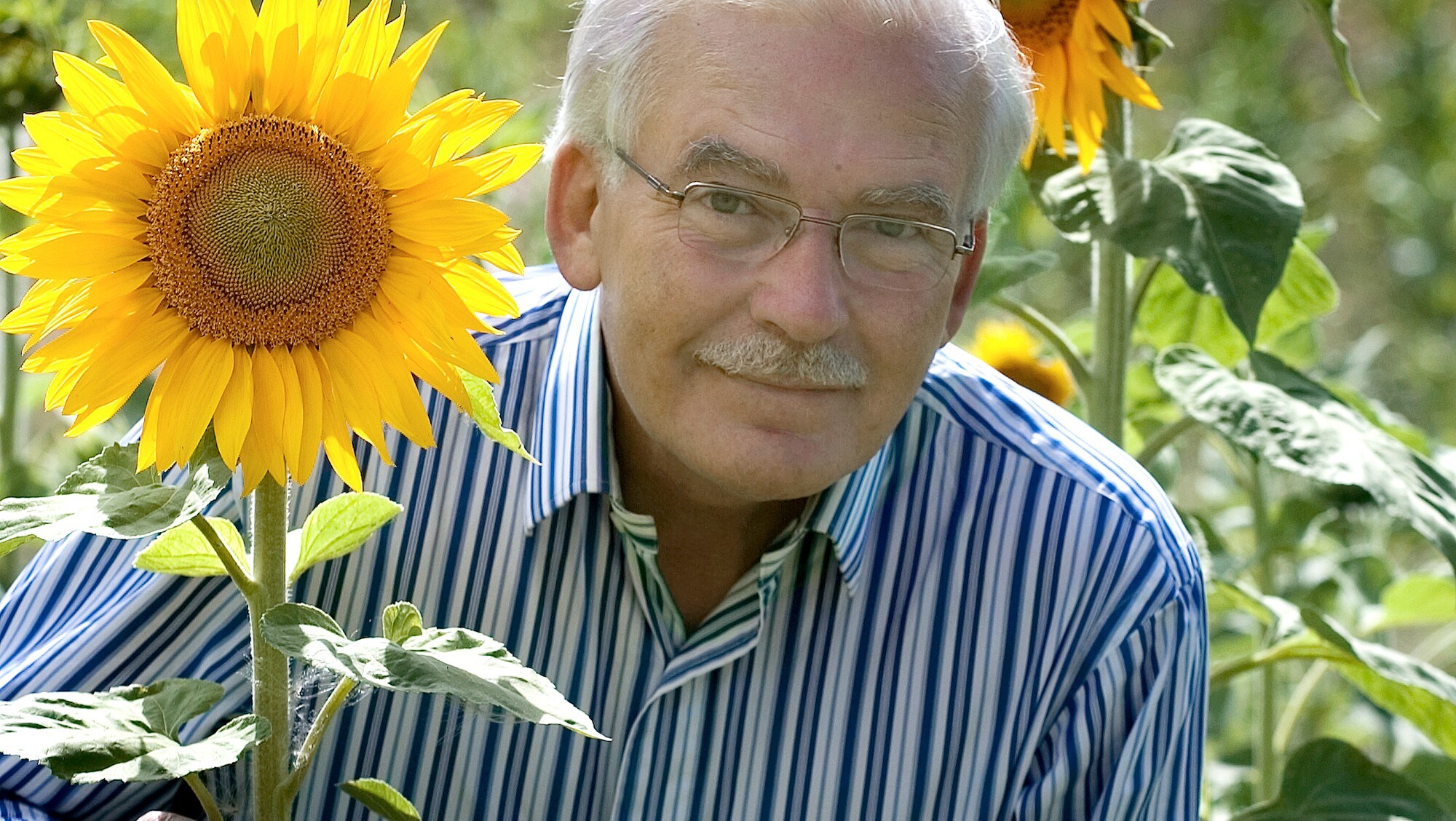 Solens mat NRK Mat Oppskrifter og inspirasjon