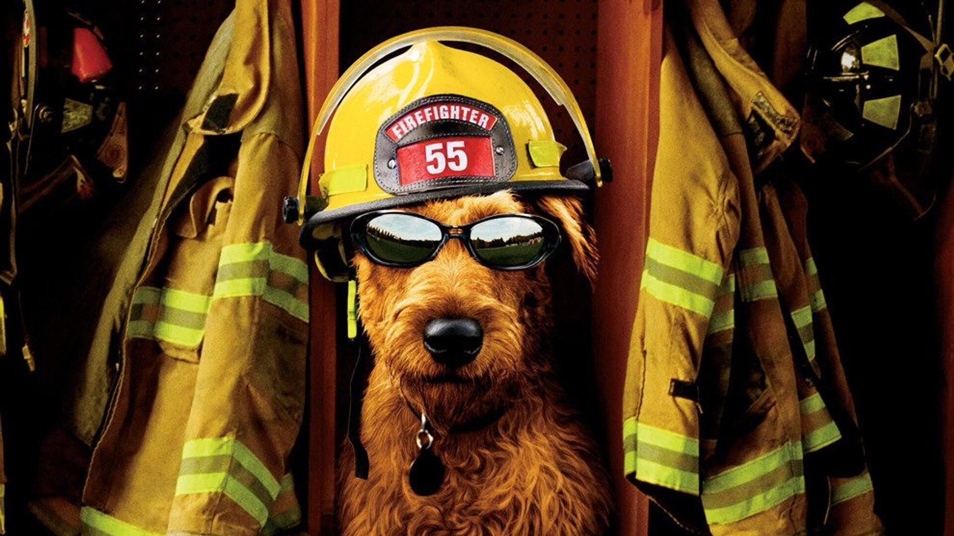 Fire dog