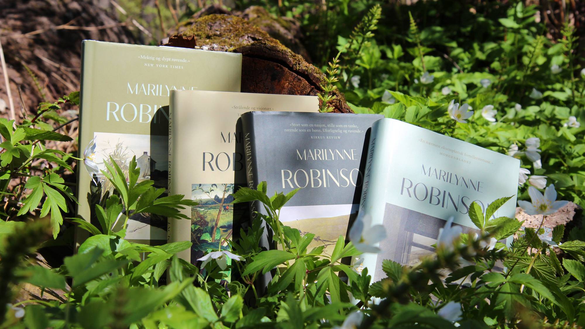 En serie bøker av Marilynne Robinson ligger i skogbunnen. Bøkene er stablet ved siden av hverandre, med grønn vegetasjon og hvite blomster rundt. Sollys skinner gjennom trærne og lyser opp scenen. (Bildebeskrivelsen er laget av en KI-tjeneste)