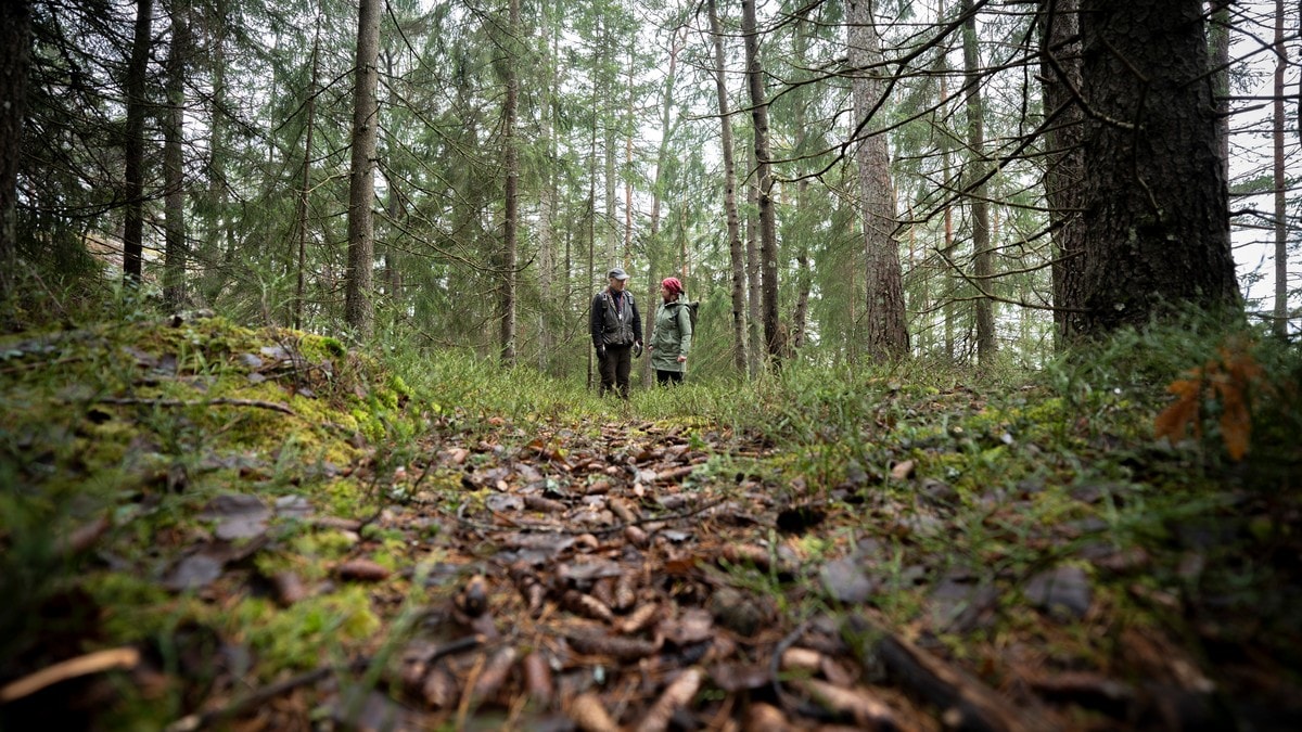 Jurist: – Viken Park er et bevis på at systemet svikter