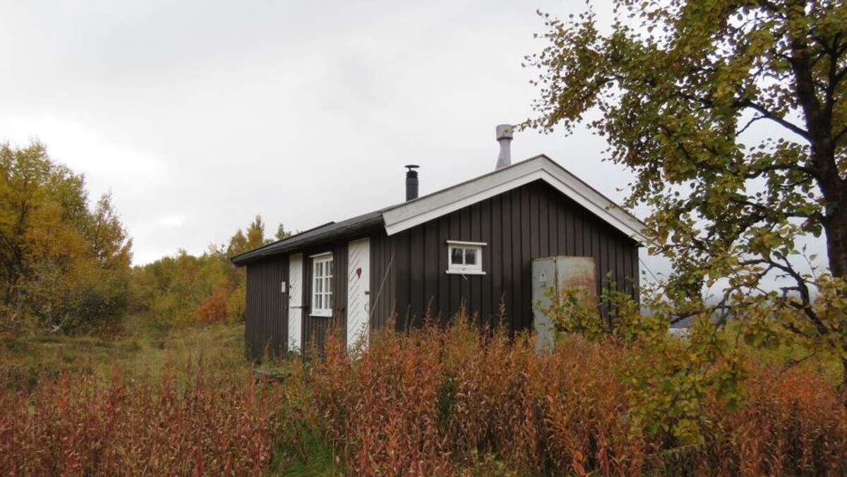 Den elleville narkoturen: – Gikk kappgang over fjellet med bøyd rygg